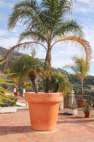 Villa El Nido Nerja Ngoại thất bức ảnh