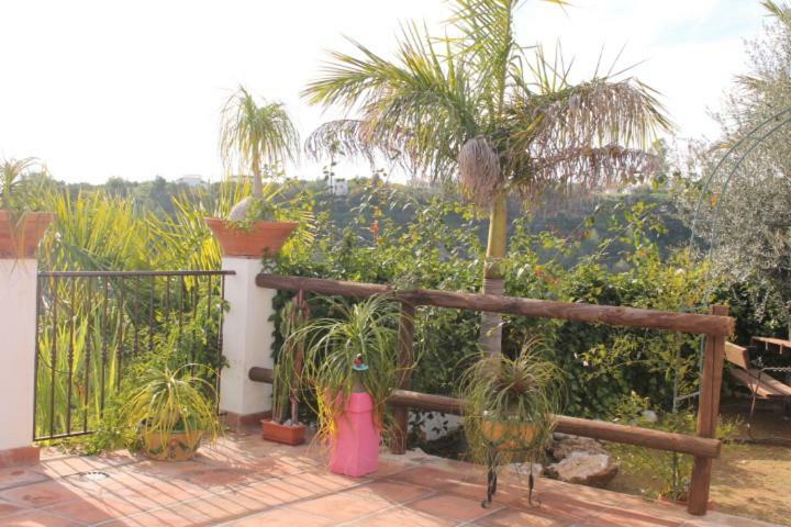 Villa El Nido Nerja Ngoại thất bức ảnh
